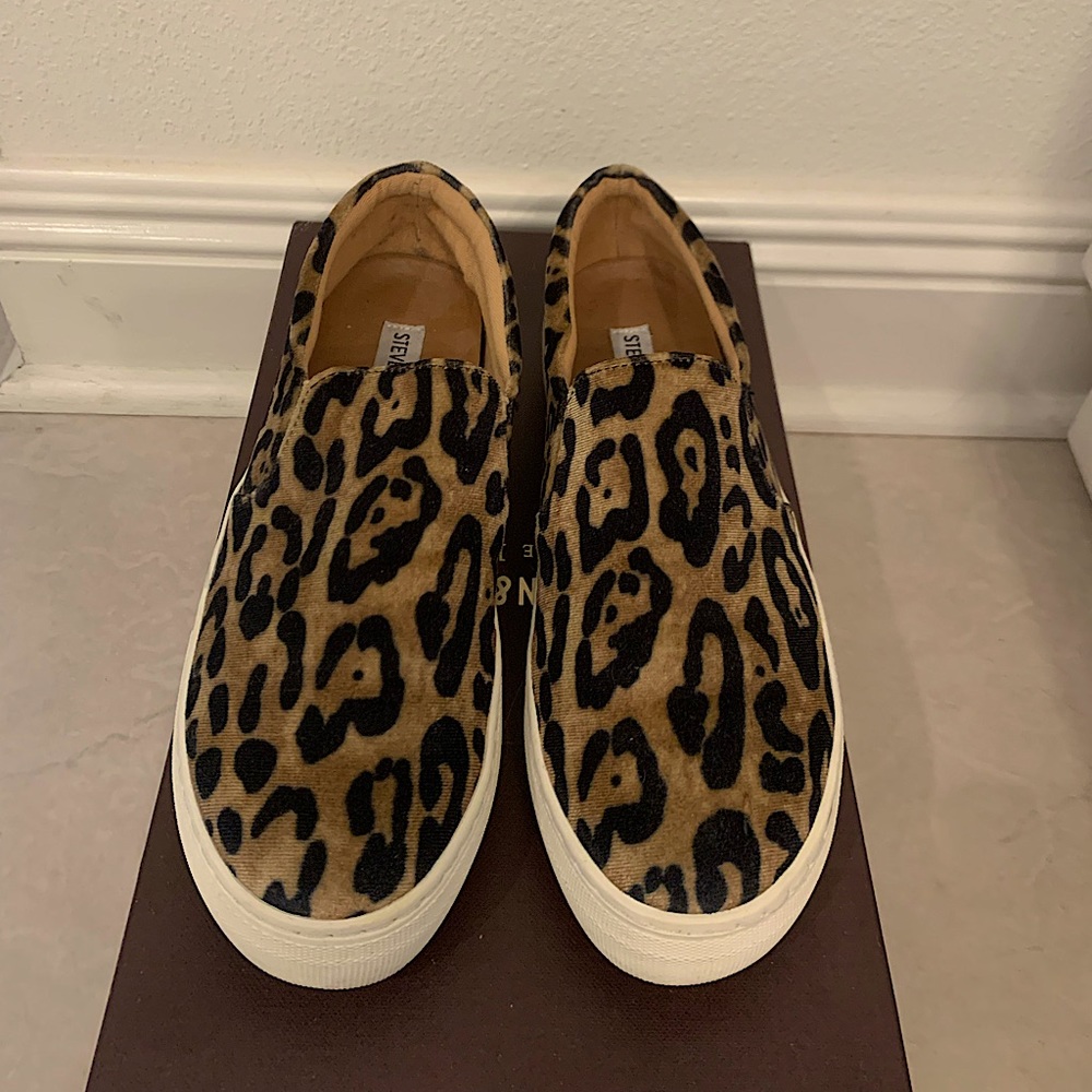 Steve Madden Women’s Gill Fashion Sneaker
